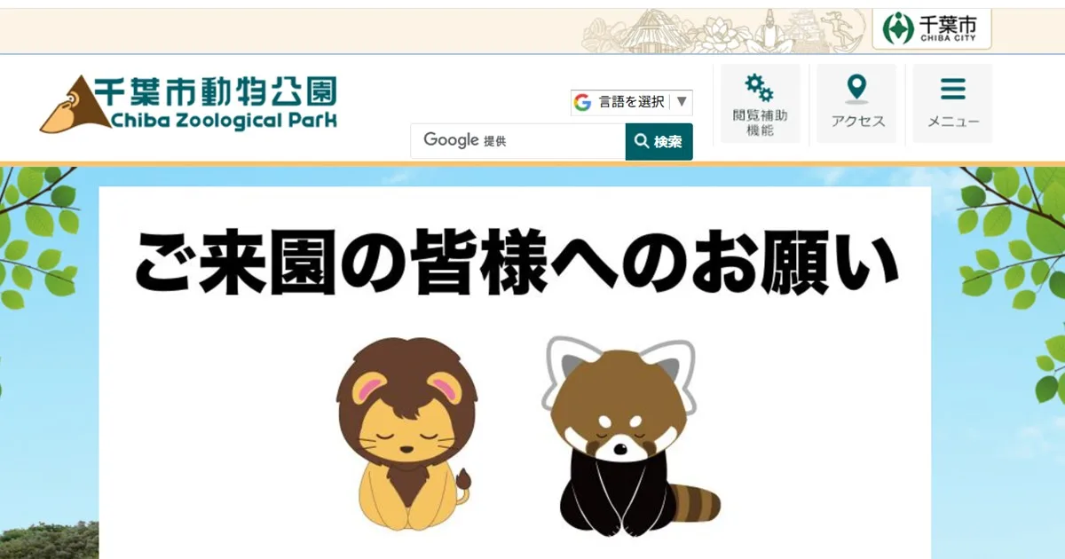 23歳レッサーパンダ風太も驚き…千葉市動物公園でニシゴリラに干し柿投げ入れ事件