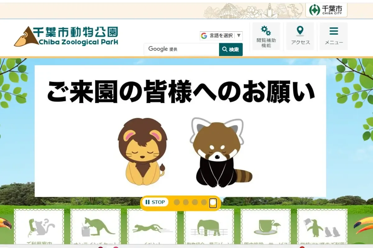 23歳レッサーパンダ風太も驚き…千葉市動物公園でニシゴリラに干し柿投げ入れ事件